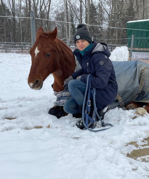 EquiBreeze Blog hoch (1) Pferd schläft im Schnee